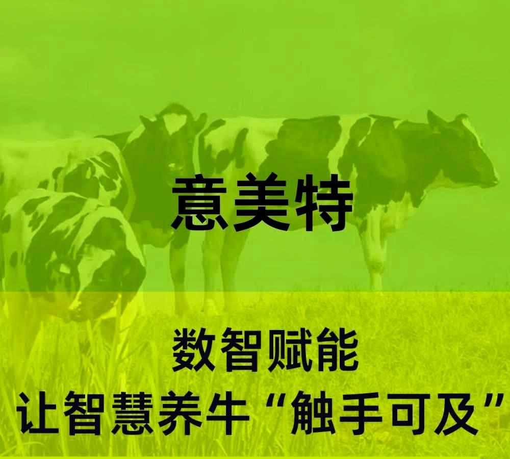 数智赋能，AG九游会让智慧养牛“触手可及”